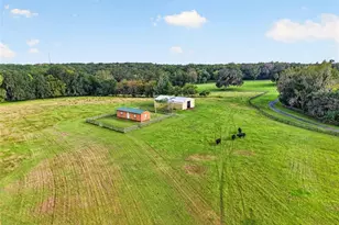 6994 NW Hwy 320, Micanopy, FL 32667 - Photo 76