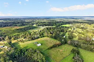 6994 NW Hwy 320, Micanopy, FL 32667 - Photo 82
