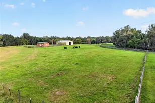6994 NW Hwy 320, Micanopy, FL 32667 - Photo 78