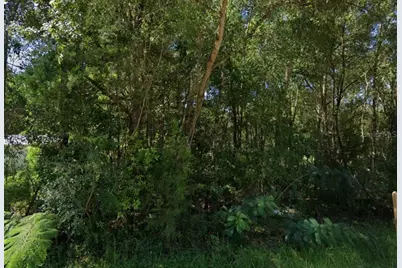 Lot 12 NW 12th Lane, Ocala, FL 34482 - Photo 4