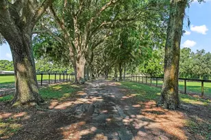 1000 NW 150th Ave, Ocala, FL 34482 - Photo 18