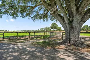 1000 NW 150th Ave, Ocala, FL 34482 - Photo 14