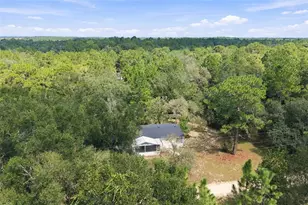 293 E Shawna Ct, Hernando, FL 34442 - Photo 50