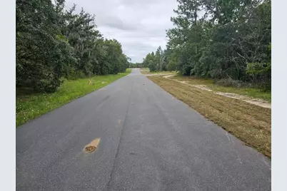 Tba SE 56th Ct., Ocala, FL 34473 - Photo 4
