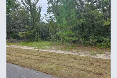 Tba SE 56th Ct., Ocala, FL 34473 - Photo 6