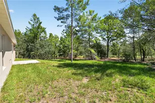 10260 N Spaulding Dr, Citrus Springs, FL 34433 - Photo 70
