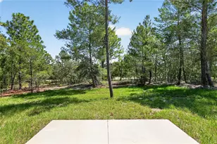10260 N Spaulding Dr, Citrus Springs, FL 34433 - Photo 64