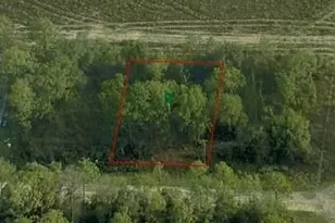 1703 W Skyline Dr, Dunnellon, FL 34434 - Photo 1