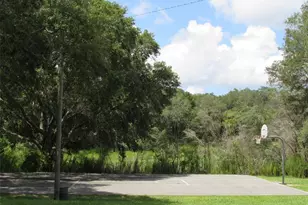 21617 SW Peach Blossom St, Dunnellon, FL 34431 - Photo 44