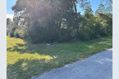 0 SW 171st Street, Ocala, FL 34473 - Photo 6