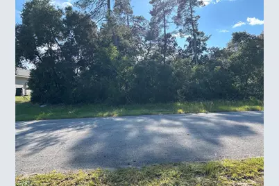 0 SW 171st Street, Ocala, FL 34473 - Photo 4