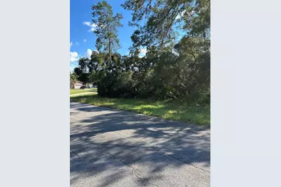 0 SW 171st Street, Ocala, FL 34473 - Photo 2