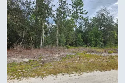 0000 NE 67th Street, Bronson, FL 32621 - Photo 1
