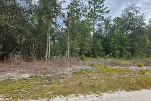 0000 NE 67th St, Bronson, FL 32621 - Photo 1