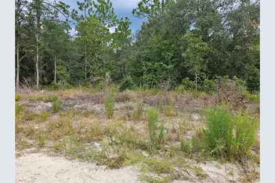 0000 NE 67th Street, Bronson, FL 32621 - Photo 2