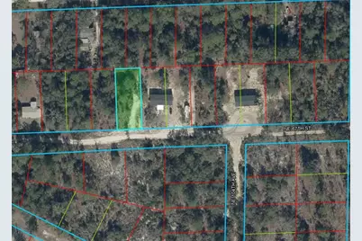 0000 NE 67th Street, Bronson, FL 32621 - Photo 4