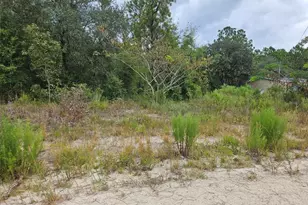 0000 NE 67th St, Bronson, FL 32621 - Photo 1