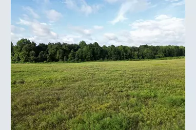 Lot 5A E Hwy 318, Fort Mc Coy, FL 32134 - Photo 10