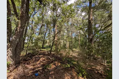 Tbd SW 121st Avenue, Dunnellon, FL 34432 - Photo 4