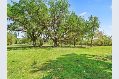 22551 NW 87th Avenue Road, Micanopy, FL 32667 - Photo 26