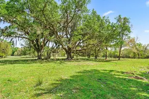 22551 NW 87th Avenue Rd, Micanopy, FL 32667 - Photo 26