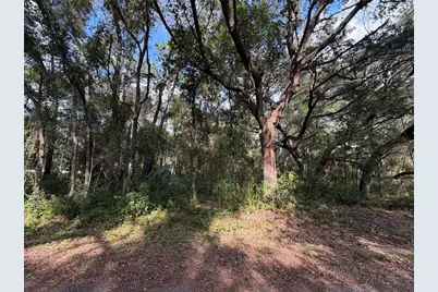 00 SE 169th Ct, Ocklawaha, FL 32179 - Photo 4