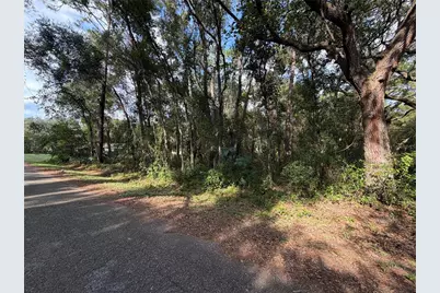 00 SE 169th Ct, Ocklawaha, FL 32179 - Photo 6
