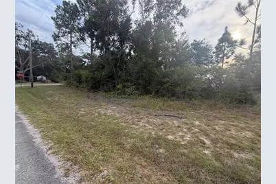 00 Corner SE 169th Ct & SE 59th Place, Ocklawaha, FL 32179 - Photo 4