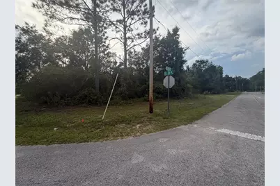 00 Corner SE 169th Ct & SE 59th Place, Ocklawaha, FL 32179 - Photo 6