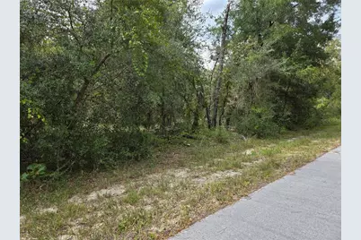 0000 SW South Water Court, Dunnellon, FL 34431 - Photo 4