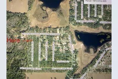 0000 SW South Water Court, Dunnellon, FL 34431 - Photo 6