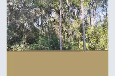 Jessie Avenue, Deland, FL 32720 - Photo 4