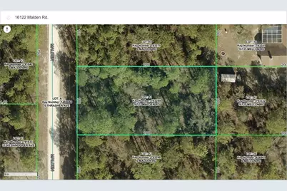 16122 Malden Road, Weeki Wachee, FL 34614 - Photo 6