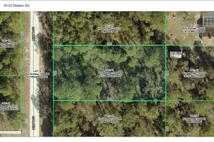 16122 Malden Rd, Weeki Wachee, FL 34614 - Photo 6