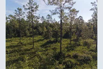 Off NE 212th St., Fort Mc Coy, FL 32134 - Photo 56