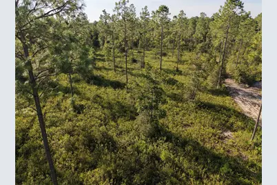 Off NE 212th St., Fort Mc Coy, FL 32134 - Photo 22