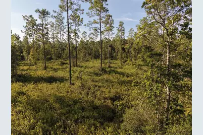 Off NE 212th St., Fort Mc Coy, FL 32134 - Photo 52