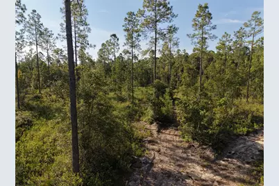 Off NE 212th St., Fort Mc Coy, FL 32134 - Photo 58