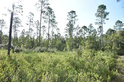 Off NE 212th St., Fort Mc Coy, FL 32134 - Photo 28