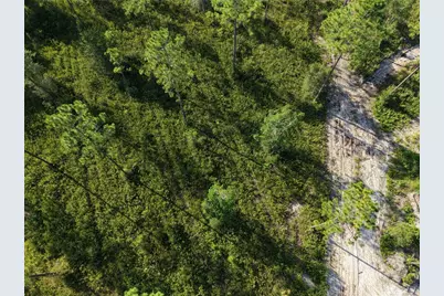 Off NE 212th St., Fort Mc Coy, FL 32134 - Photo 24