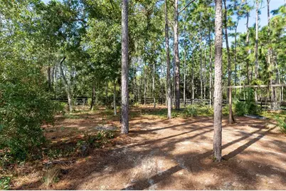 8556 County Road 243, Wildwood, FL 34785 - Photo 62