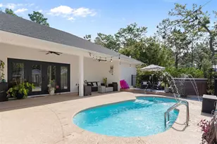 8556 Co Rd 243, Wildwood, FL 34785 - Photo 48