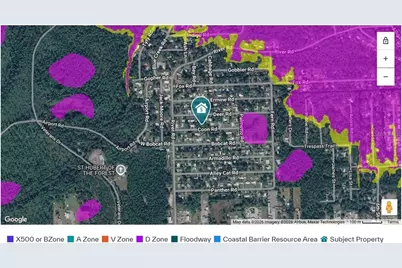 Coon Road, Astor, FL 32102 - Photo 4