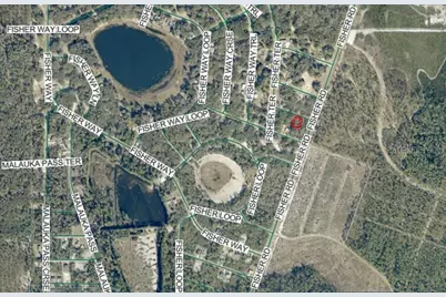 Lot 4 Fisher Terrace Place, Ocklawaha, FL 32179 - Photo 4