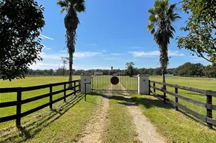 20970 NE 30 St, Williston, FL 32696 - Photo 32