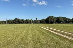 20970 NE 30 St, Williston, FL 32696 - Photo 30