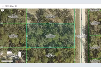 16275 Kakawi Road, Weeki Wachee, FL 34614 - Photo 8