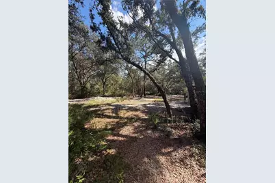 Tbd NE 192nd Place, Fort Mc Coy, FL 32134 - Photo 6
