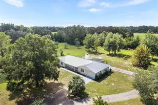 7920 NE Hwy 41, Williston, FL 32696 - Photo 40