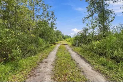 0 Doc Smith Road, Bronson, FL 32621 - Photo 2